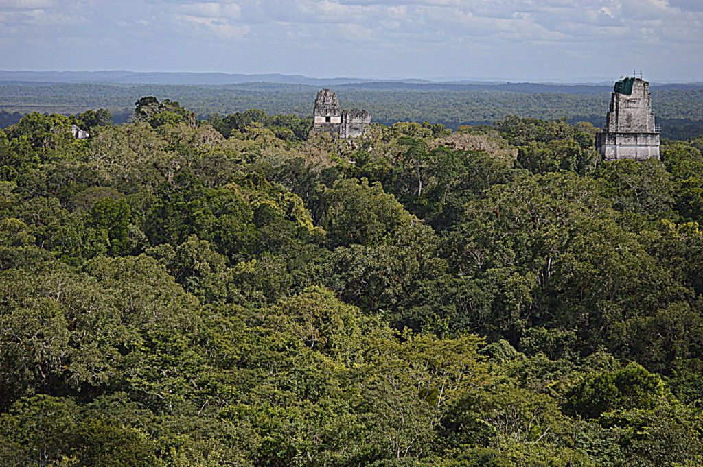 Tikal gezilecek yer